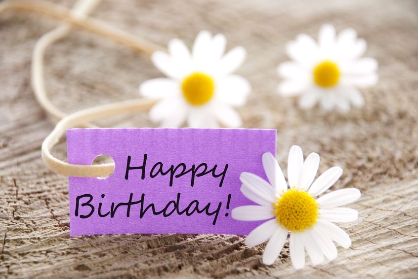 Rimu Marketing Celebrates 1st birthday!