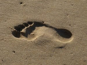 What is a digital footprint?