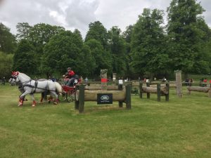 Windsor Horse Show Sponsorship