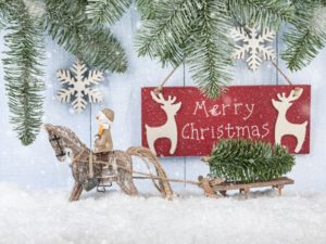 Festive Marketing Campaign